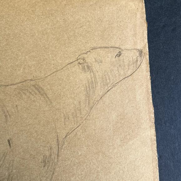 Vintage Original Polar Bear Study Pencil Sketch HGM - Picture 3 of 6